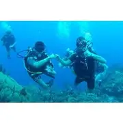 Save 10.01%! Catalina Island Diving Experience from Punta Cana