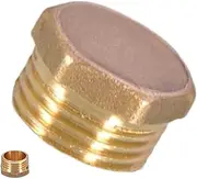 Furtryvl Thread Pipe Plug,NPT Connector Pipe Plug Fittings | Port Plug, Water Pipe Plug, Hose Adapter, Blanking Plug Fitting for Medicine, Paint, Prevention