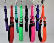 GroomTech Biothane Belly Strap Set Dog Pet Grooming