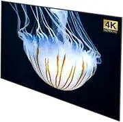 Screen 60~300 Inch Simple Movie Screen Canvas Fabric Projection Curtain Foldable 16:9/4:3 for LED DLP Projector Projection Screens(180 inch)