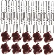 ASAKKURA 1 Set Breathable Hair Nets with Shaped Clips for Buns Ballet Accessories for Women for Parties and Formal Events Clips
