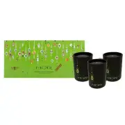 New MOR The Enchanted Garden Petite Candle Trio Perfume