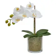 NEW Green Room Orchid Artificial Glass Pot By Spotlight