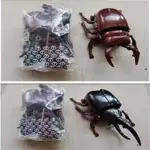 正版KABAYA日版變形昆蟲甲蟲螳螂蜜蜂拼裝玩具系列一件式兩變