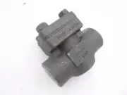 DSI 1" Forged Steel Threaded Swing Check Valve Class 800
