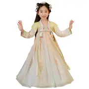 Girls Chinese Hanfu Summer Dress Embroidered Traditional Tang Suit Fairy Costume