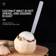 Coconut Meat Removal Tool - Easily Removes Flesh from Shell in Seconds Gadget AU