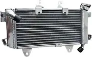 Aluminum Radiator Compatible With KTM 390 Duke 373.2cc RC ABS LC4 2015-2020 Cooler Cooling Coolant 2015 2016 2017 2018 2019 2020