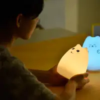 在飛比找蝦皮購物優惠-超萌 Pusheen 軟矽膠夜燈 FB貓 facebook貓