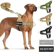 AUTOWT No Pull Large Medium Dog Harness Leash Set,No Choke Escapeproof Neck & Chest Adjustable, 5.9 Ft Dog Leash Anti-Twist Pet Lead, Soft Padded Reflective Tactical Military Dog Harness (Yellow, XL)