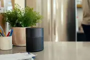 Bose Home Speaker 300 - Triple Black