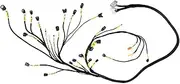 Tucked Engine Harness Compatible with Acura K-Swap Integra CRX 2002 Compatible with Civic EP3 (Type S Or K24 Swap) 01-05 K20 K24 K-Series