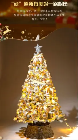聖誕樹 2023新款加密1.2米聖誕樹家用高級ins風聖誕節裝飾場景布置擺件
