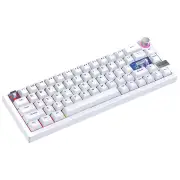 Fantech MK920 MAXFIT6 60% Wireless Mechanical Keyboard (White) (Brown Switch)