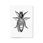 Queen Bee Drawing Insect Honey Wall Art