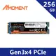 Moment PCIe Gen 3x4 SSD固態硬碟256GB