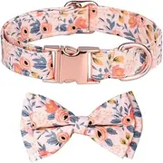 ZGHUI Cotton Reinforced Dog and Cat Collar with Adjustable Removable Bow Rose Gold Metal Buckle Fancy Puppy Collar Durable Flower Collar for Large, Medium and Small Dogs and Cats (M, Orange)