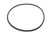 Davey Easy Clear (formerly CF) Cartridge Filter Tank Oring