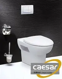 在飛比找Yahoo!奇摩拍賣優惠-FUO衛浴: 凱撒  隱藏式水箱壁排馬桶 CPT1501