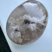 Flower Agate Palm Stone 2.5” x 2” | Metaphysical Healing | Secure Shipping
