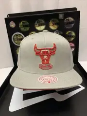 Chicago Bulls Mitchell & Ness “HWC Two Tonal Collection” SnapBack Hat Gray