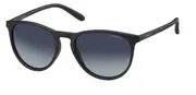 POLAROID-PLD 6003/N/S-DL5-5419-SUNGLASSES