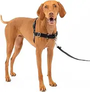 PETSAFE Pet Safe Easy Walk Dog Harness, Medium, Black