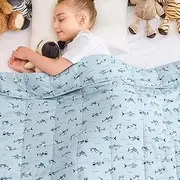 yescool Weighted Blanket 7 Pounds Cooling Weighted Lap Blanket, Shark Heavy Blankets for Sleeping, Washable Weighted Throw Blanket for 60-80lbs, 40"x60"