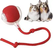 Eptchn Interactive Cat Toy Ball, Active Smart Rolling Balls for Cat, Electric Toy Balls for Indoor Cats
