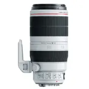 Canon EF 100-400mm f/4.5-5.6L IS II USM Lens