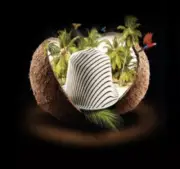 Nespresso COCONUT Capsules VARIATIONS Limited Coffee Espresso ORIGINAL OL Pods
