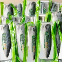 在飛比找momo購物網優惠-【鮮綠生活】挪威薄鹽鯖魚M 11片(毛重170g-200g/