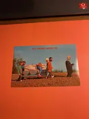 (1) Vintage Photograph Casket “Old Drunks Never Die” Comical Postcard