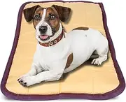 Jeffers Pet Comfort Dog Pillow, Medium 25" x 33", Tan – Machine Washable Dog Bed for House, Sofa, Crate & Travel – Poly Cotton Shell, Winter Warmth, Soft, Comfy, Durable, Top Pet Bedding