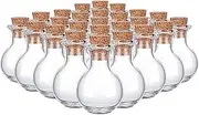 10 Glass Bottles with Corks Stoppers Clear Glass Bottles Bottles for Wedding