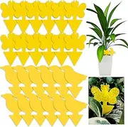 Yellow Fruit Fly Sticky Traps Indoor and Outdoor Plants, Fungus Gnat Trap Killer for House Flower Nontoxic Plant Insect Catcher (24 Bees)