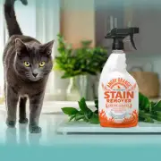 ANGRY ORANGE Cat-Friendly Stain Remover and Enzyme Cleaner - 24 oz.