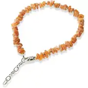 Natural Baltic Amber Pet Collar CC65 with decorative chain for Dogs