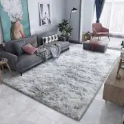 Area Rug Modern Fluffy Shaggy Rugs for Living Room Soft Non-Slip Carpet for Bed