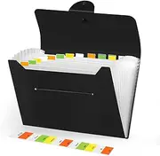 Brencco Document Folder, 13 Pockets Expandable Document Holder, A4 Portfolio, Portable Document Binder for Home, School and Society, Black