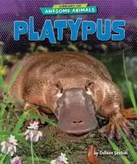 在飛比找博客來優惠-Platypus