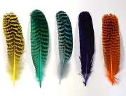 DYED PEACOCK QUILLS 6"-10" Feathers New & Top Quality! Many Colors! Craft/Hats