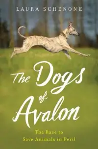 在飛比找博客來優惠-The Dogs of Avalon: The Race t