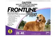 Plus Flea & Tick Protection for Dogs 20-40kg, 6's