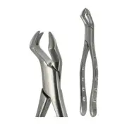 AMERICAN FORCEPS 88R UPPER MOLAR (ITEM#:4819)