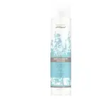 Natural Look Purify Anti Dandruff Shampoo 375ml