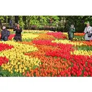 Save 13.00%! 14-day Taste of Europe Tour: France, Italy, Monaco,Switzerland,Germany and more.
