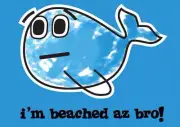 Beached AZ Blue Beach Pool Bath Towel. Whale. ABC, Beached Az