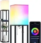 Floor Lamp with Shelves,RGB Light Dimmable Standing Lamp with APP Control, Black