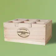 6-Cell Cedar Seedling Tray & Planter *Handmade in USA* The WORLDS FIRST EVER